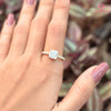 Princess Cut Solitaire Engagement Ring | Pavé Diamond Hidden Halo Band